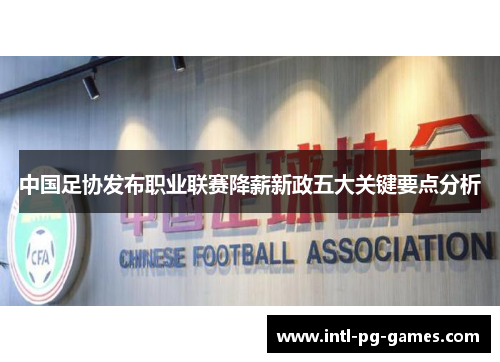 中国足协发布职业联赛降薪新政五大关键要点分析