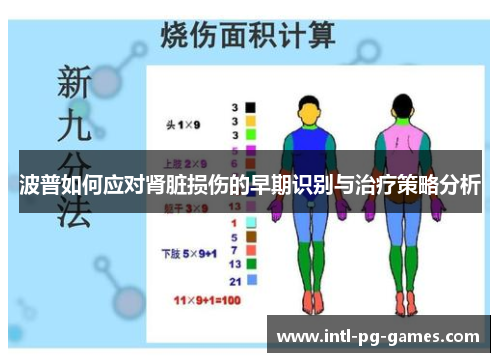 波普如何应对肾脏损伤的早期识别与治疗策略分析