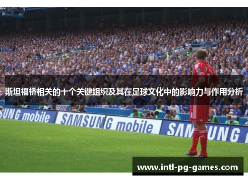 斯坦福桥相关的十个关键组织及其在足球文化中的影响力与作用分析
