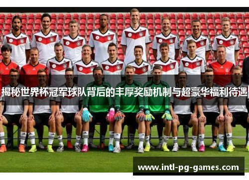 揭秘世界杯冠军球队背后的丰厚奖励机制与超豪华福利待遇